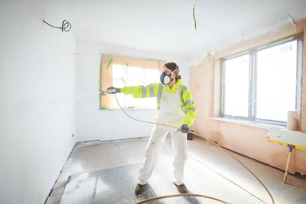 Best Attic Mold Removal  in Kaloko, HI