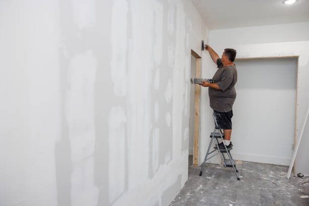 Best Air Quality Testing for Mold Spores  in Kaloko, HI
