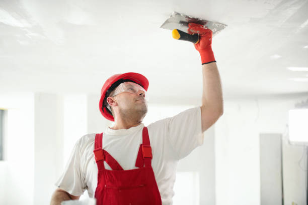Mold Remediation for Rental Properties in Kaloko, HI