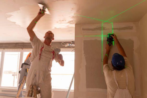Best Emergency Mold Remediation  in Kaloko, HI