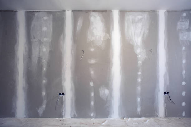 Best Mold-Related Health Consultation  in Kaloko, HI